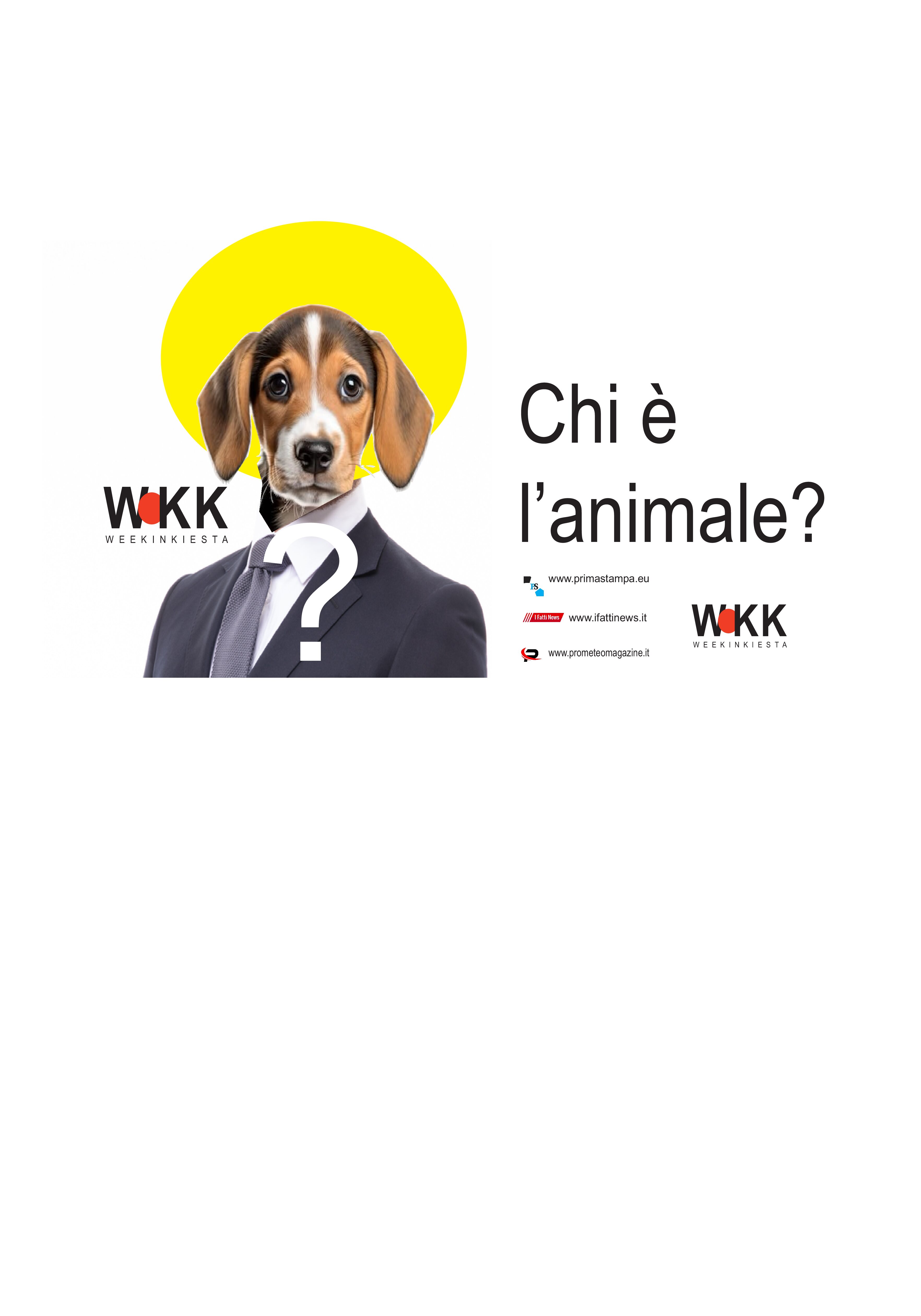 WeeKinKiesta,  Chi è l’animale?  II – La Caritas di Catania e i cani dei clochard. Il dramma che non fa notizia…